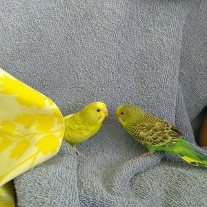 Meet your Posher, Vicki